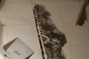 河池卫生间漏水检测电话
